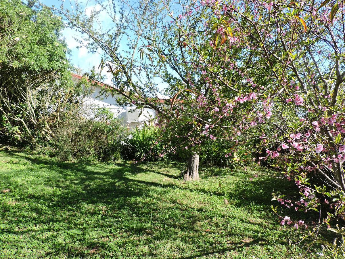 Relais Du Volcan La Plaine des Cafres Luaran gambar
